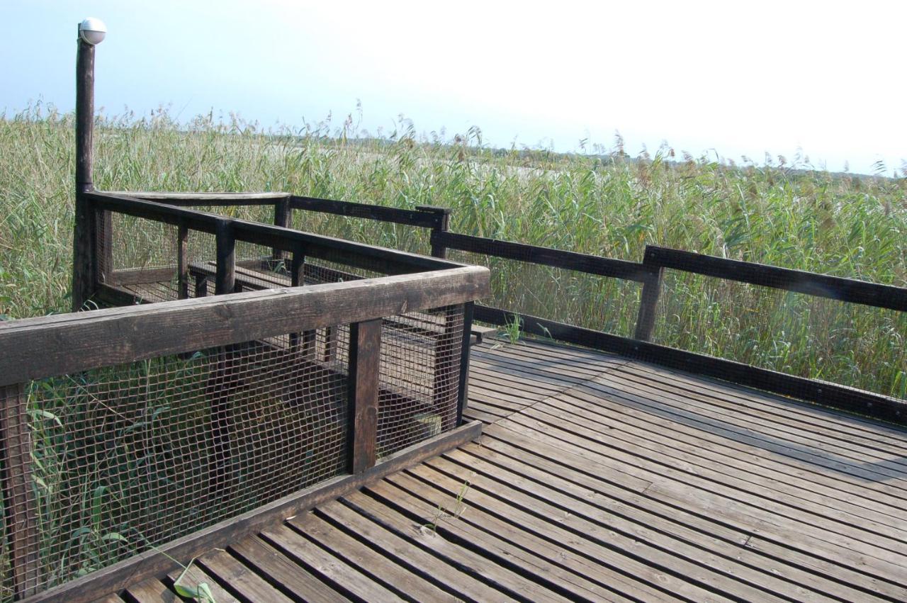 شقة 28 And 29 The Bridge Saint Lucia Estuary المظهر الخارجي الصورة