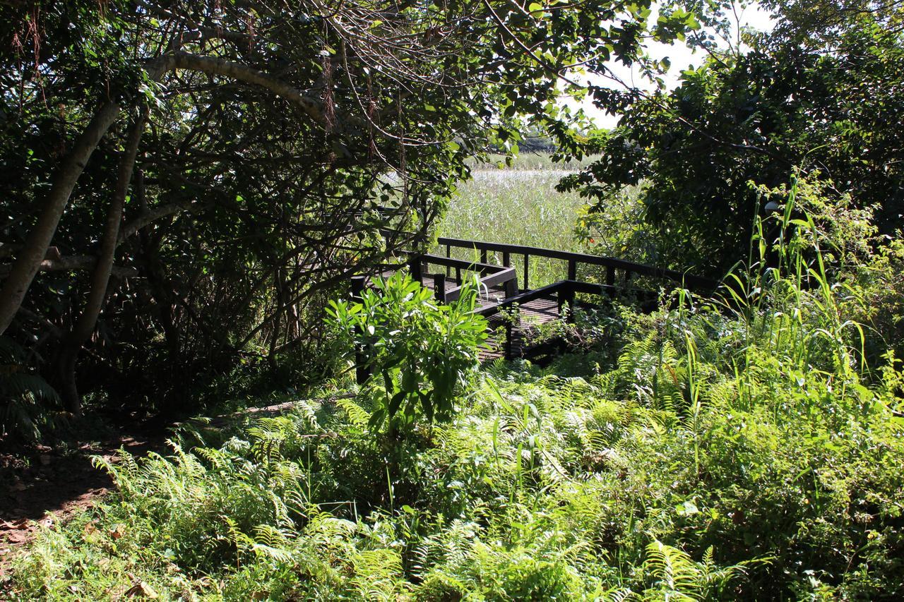 شقة 28 And 29 The Bridge Saint Lucia Estuary المظهر الخارجي الصورة